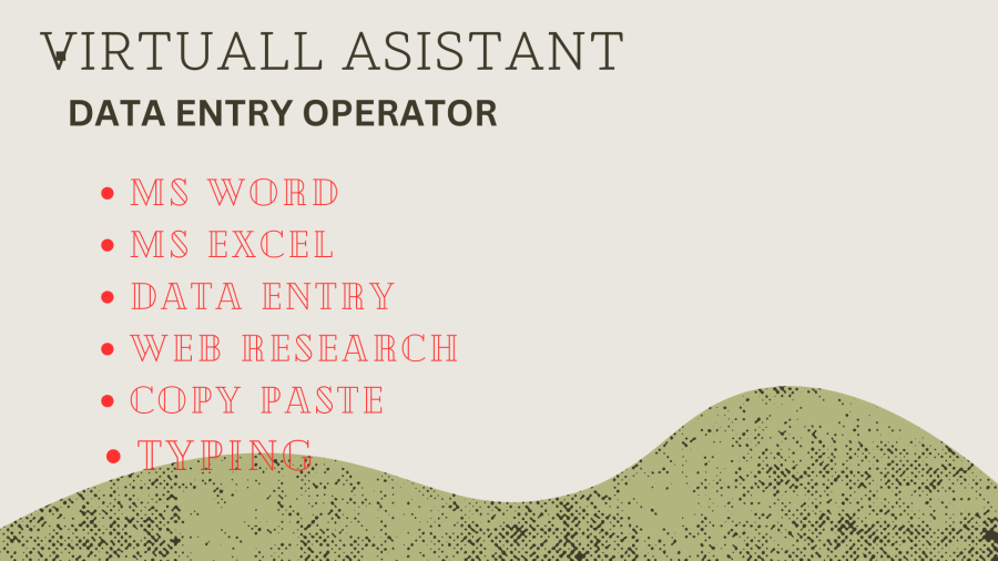I will be your Virtual Assistant and Do Data entry and copy paste 