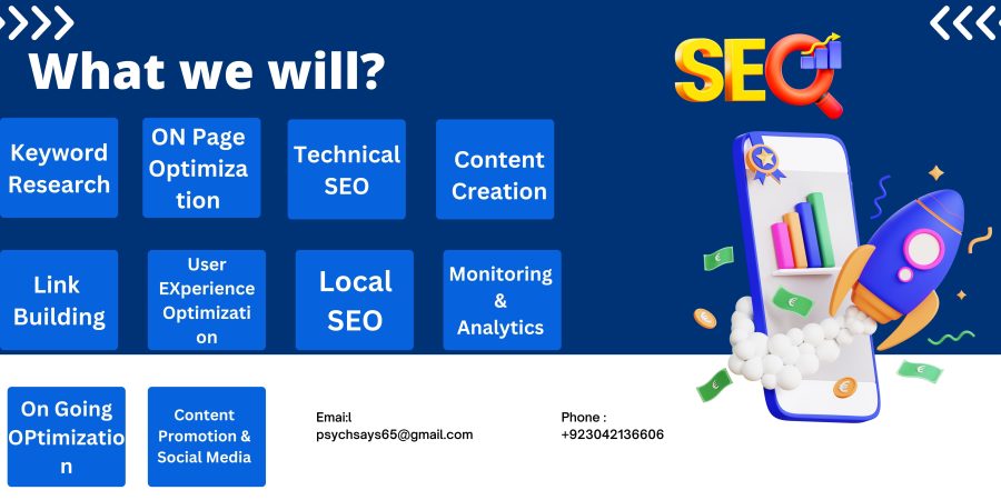 I will provide complete monthly seo services for top google ranking
