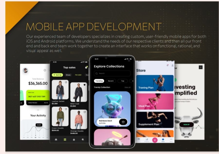 Web development mobile app developer custom software development 