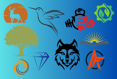 I will professionally create all types of logos for online/offline business as you wish