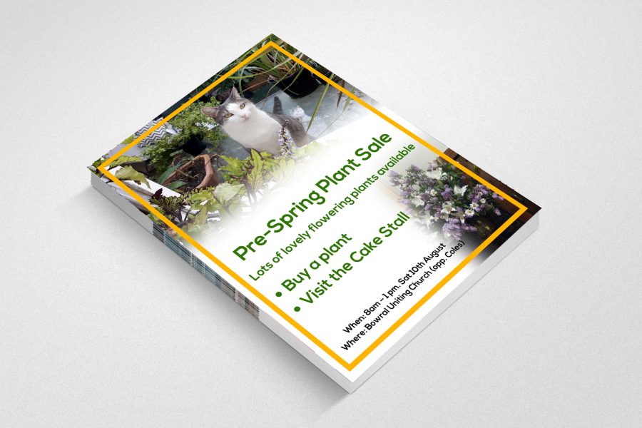 I will design professional and amazing flyer poster, brochure