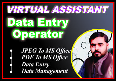 I can do Data Entry & Typing Work for you.