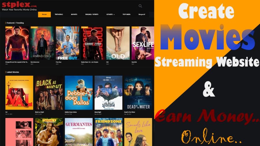 I will develop an autopilot movie website using wordpress