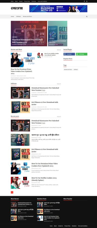 I will build a professional WordPress website and design it for you.
