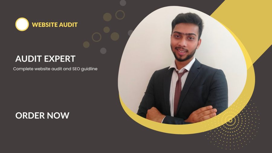 "You Will Gain Clarity and Direction with Our Website Audit report.