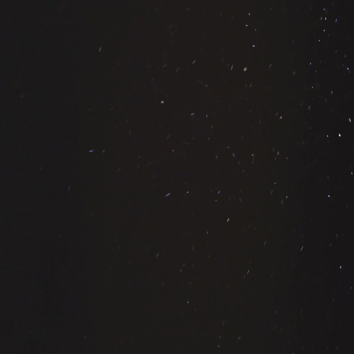 I will create a professional storytelling video