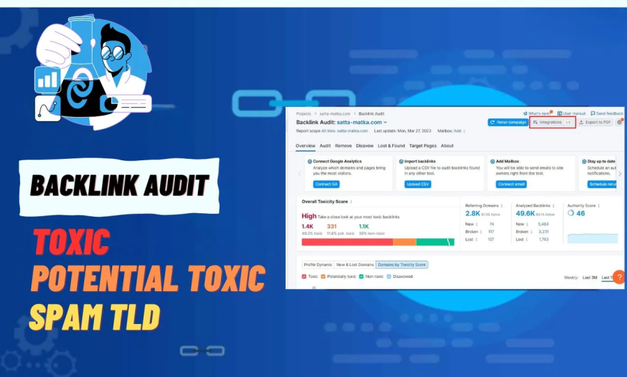 Expert SEO Backlink Audit and Disavowal Service: Safeguard Your Website's Ranking