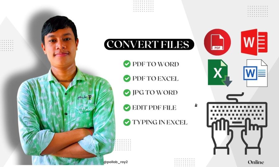 I will pdf to word, convert scanned pdf to word and excel