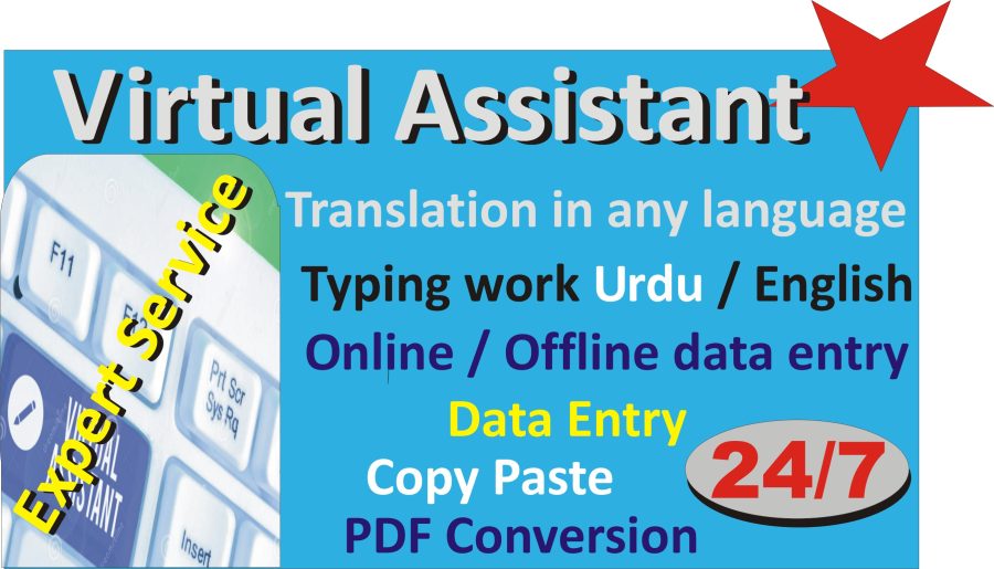 i will do any type of job as vitual Assistant . translation in any language , pdf conversion