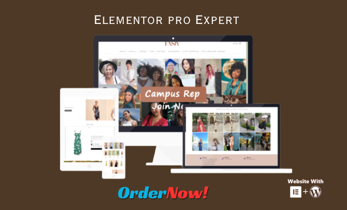  wordpress website design, website redesign, elementor