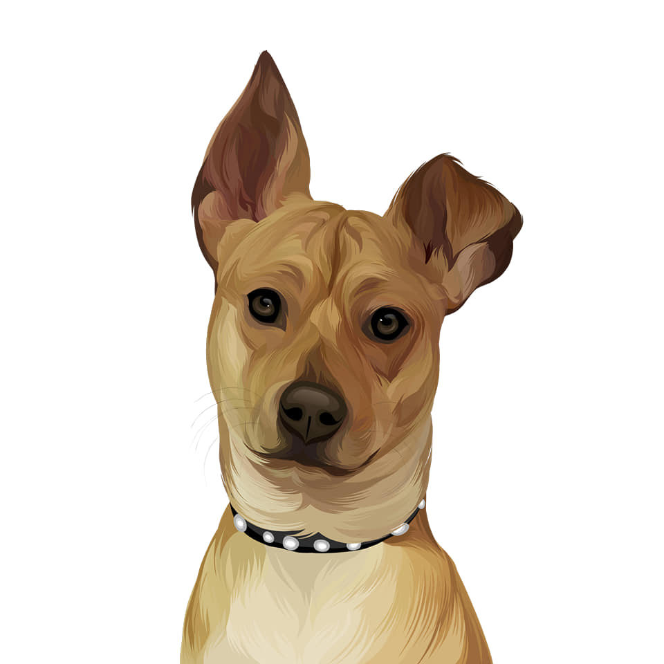 I will draw your dog and cat into cartoon portrait