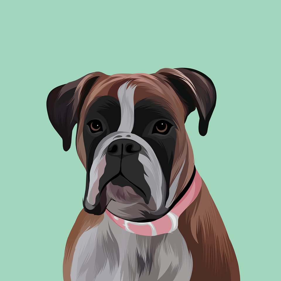 I will draw your dog and cat into cartoon portrait