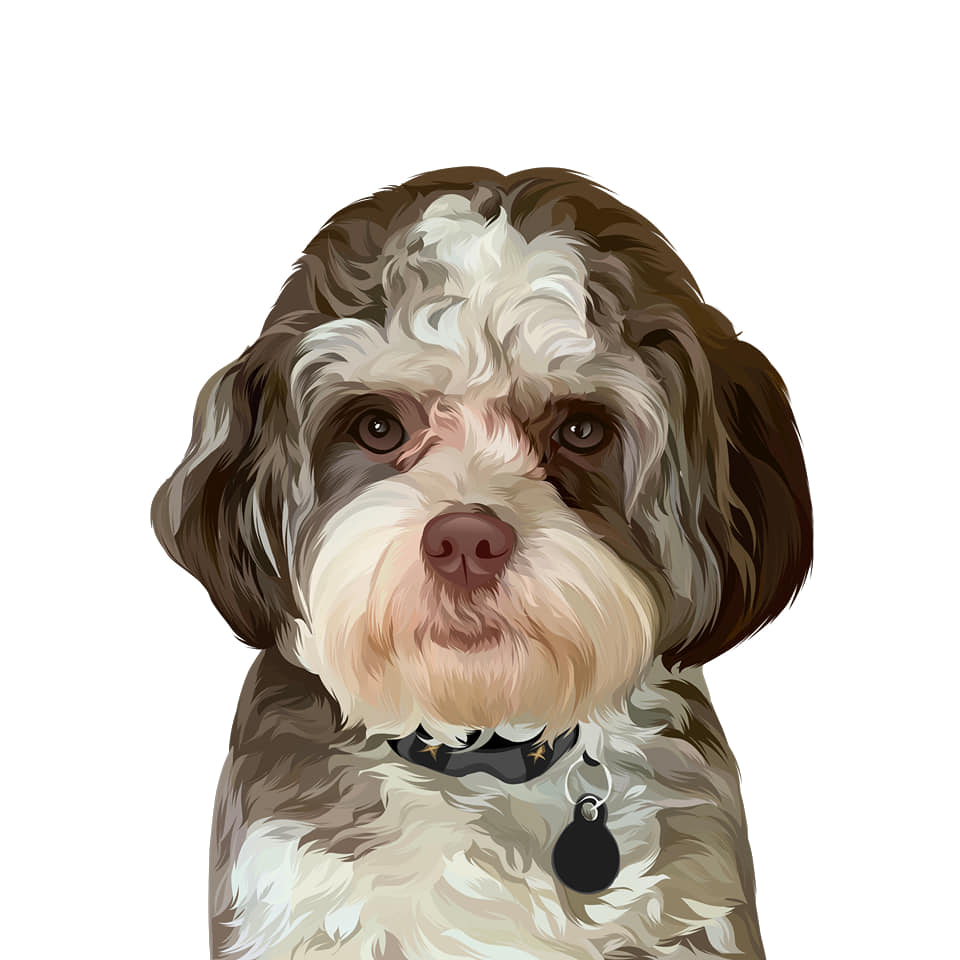 I will draw your dog and cat into cartoon portrait