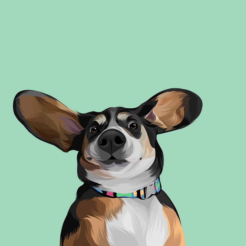 I will draw your dog and cat into cartoon portrait