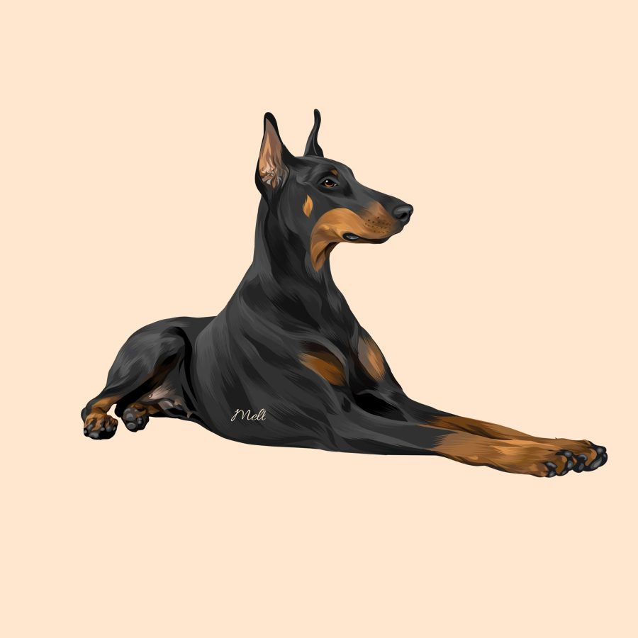 I will draw your dog and cat into cartoon portrait