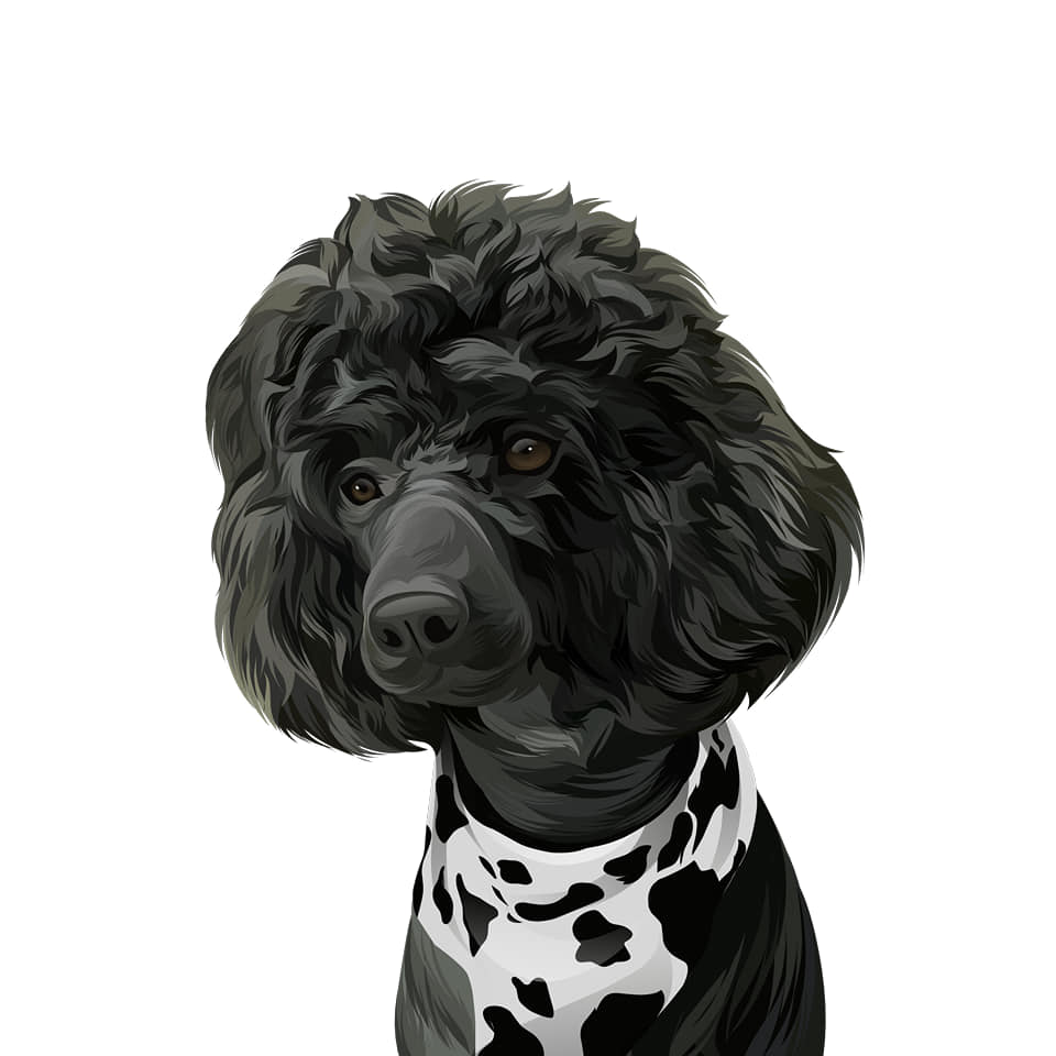 I will draw your dog and cat into cartoon portrait