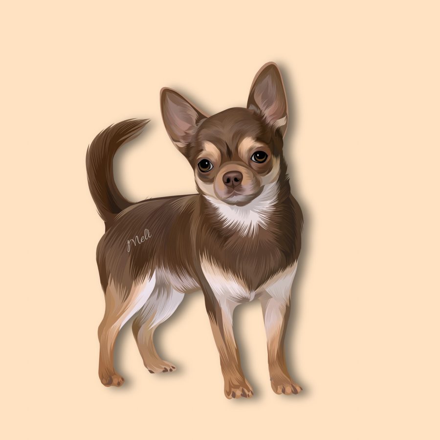 I will draw your dog and cat into cartoon portrait