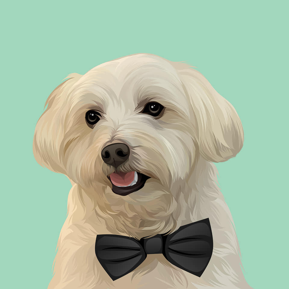 I will draw your dog and cat into cartoon portrait