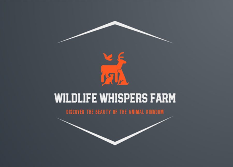 "Crafting Distinctive Logos and Stunning Graphics for Your Brand"