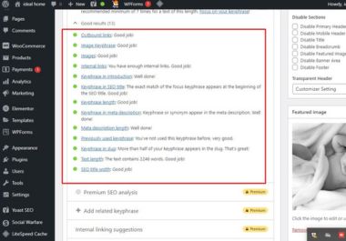 I will do on page off page and technical SEO for your wordpress site