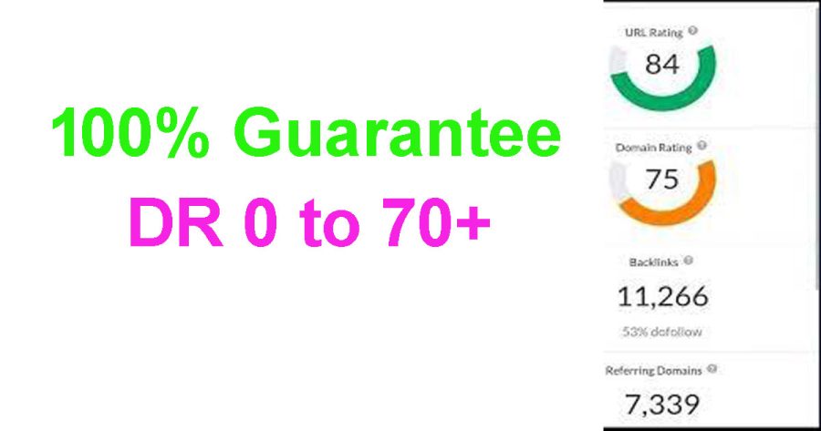 I can increase your website Domain Rating DR 40+ rank in Ahref using backlinks