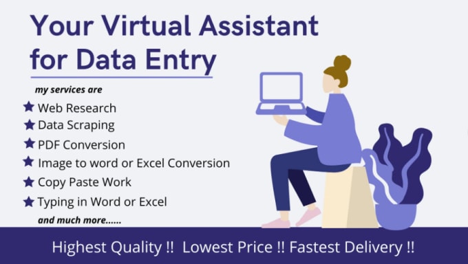 Efficient Data Entry and Virtual Assistant Operator
