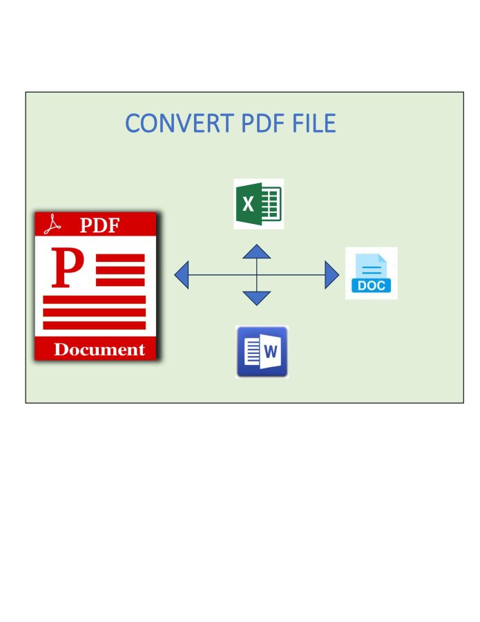 I will be your virtual assistant for data entry, file conversions