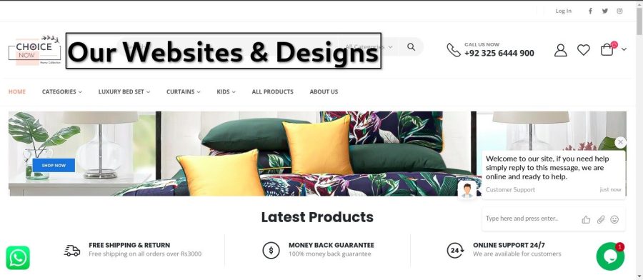 Wordpress Developer And Websites Designer