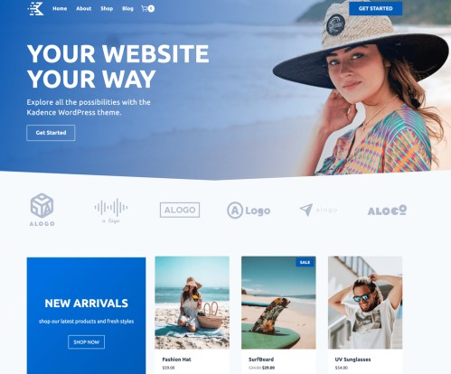 I will design and redesign or revamp wordpress site 