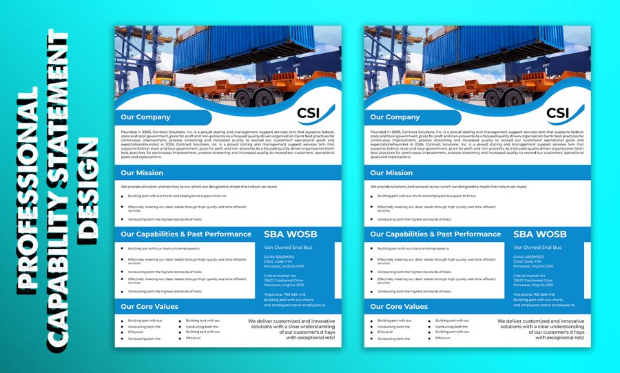 Professional, Creative, Expert, and government capability statement design