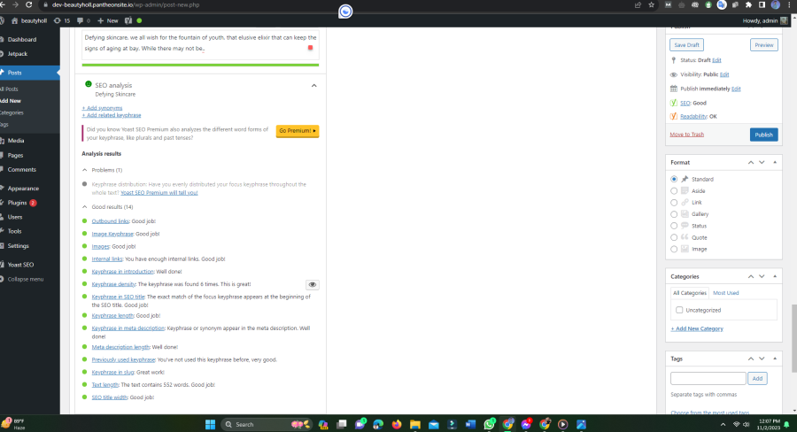 I will do professional website on-page SEO and complete technical optimization for WordPress