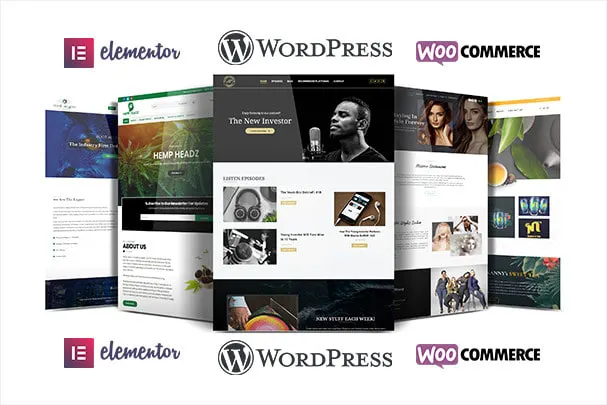 I will create responsive professional wordpress website design or blog site