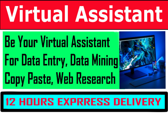 your virtual assistant for data entry, typing, copy paste! 