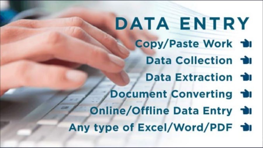 I will do professional and accurate data entry 
