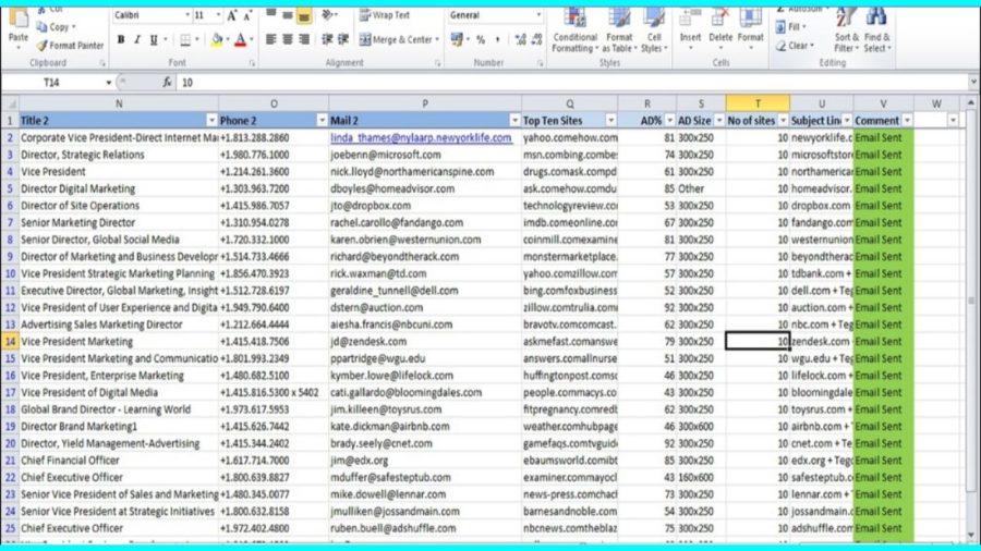 I will do professional and accurate data entry 