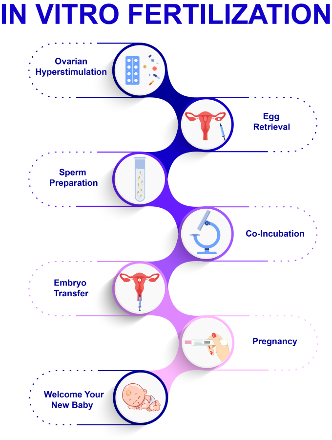 I will design your professional inforgraphic, Flow chart for your Business