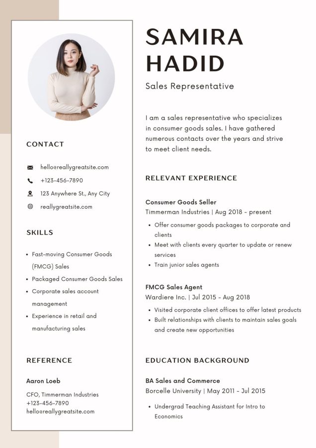 Professional cv - Resume template 