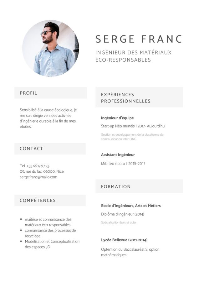 Professional cv - Resume template 