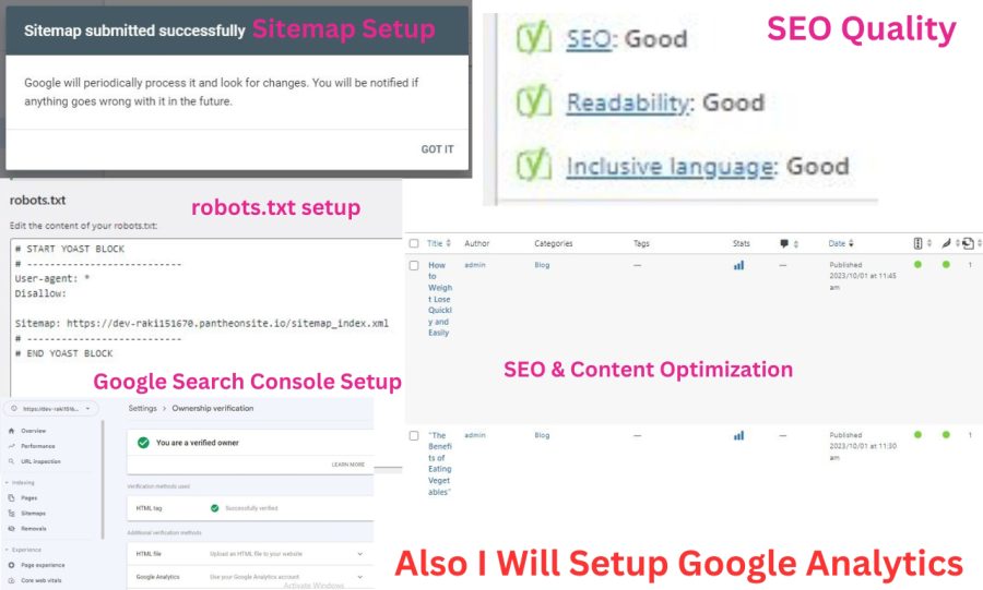I will provide wordpress technical SEO and optimization