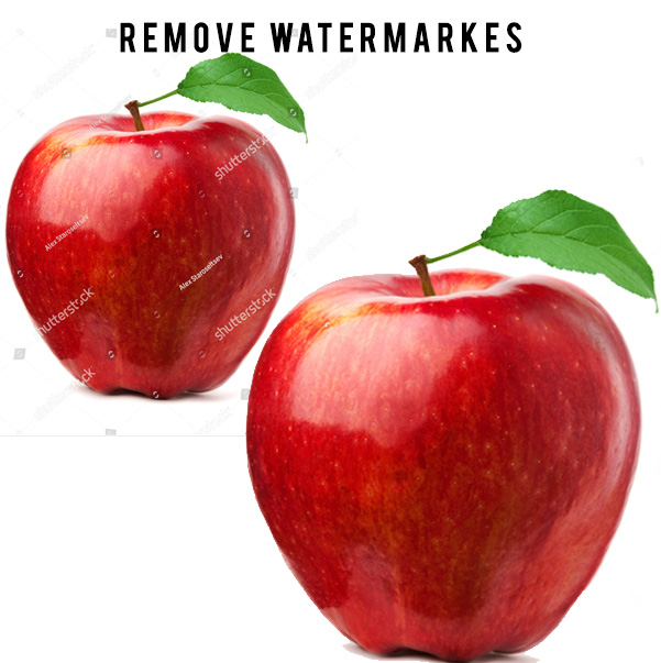 I will add or remove person, objects, change background using photoshop, pro editor.