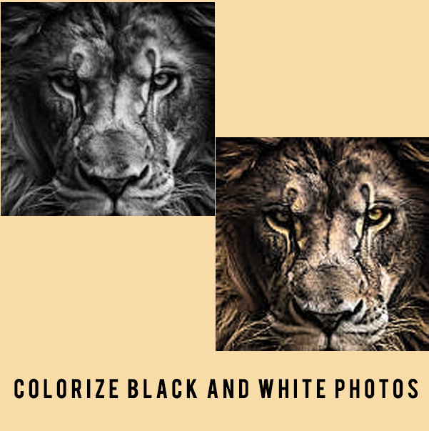 I will add or remove person, objects, change background using photoshop, pro editor.