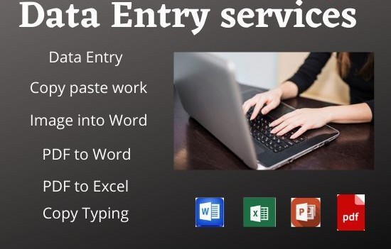 Professional Data Entry and Article Writing Service 