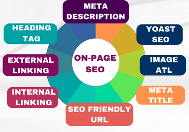 I will Do Best On-Page SEO and Technical Optimization For your Website 