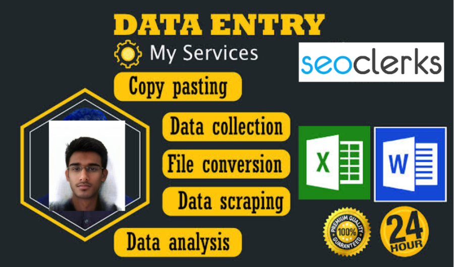 Precision Maestro: Elevating Data Entry with Speed, Accuracy, and Professional Excellence. Your Data