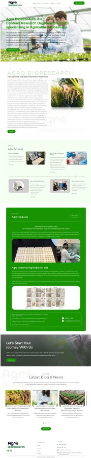 design and develop a clean responsive modern wordpress website for you