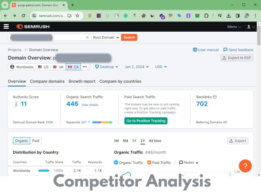 You will get Advanced SEO Keyword Research with top Competitor analysis