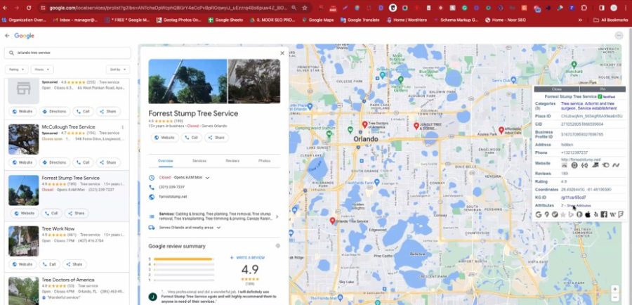 Professional Google My Business Profile Optimization and Local SEO Services