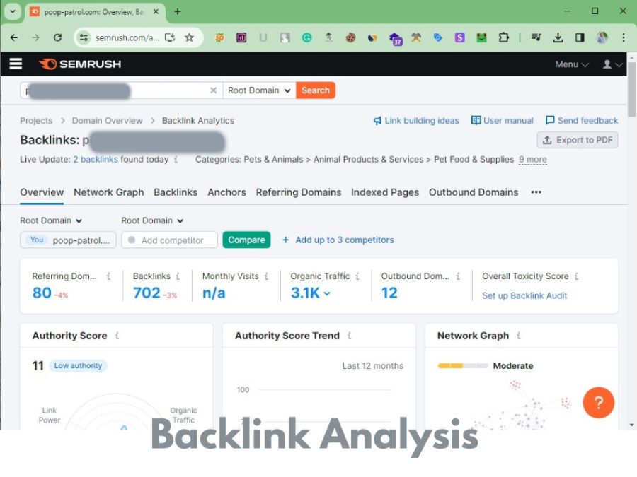 You will get Advanced SEO Keyword Research with top Competitor analysis