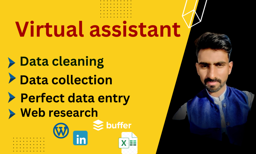 I will do perfect data entry cleaning data 