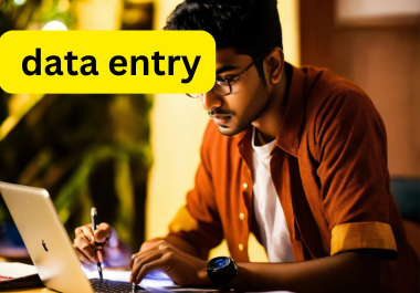I will do excel data entry, copy paste and email data entry